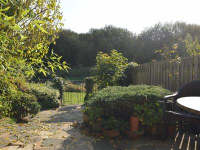 Picture 4